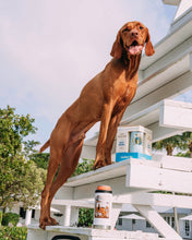 Quail Hunt Slim Can Cooler