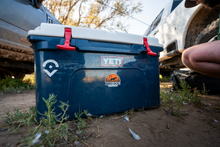 Bird Dog of the Day Logo Decal Sticker