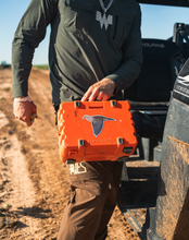 Mourning Dove Decal Sticker