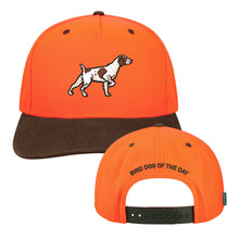 |Blaze Orange/Brown Wax