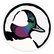 Bufflehead