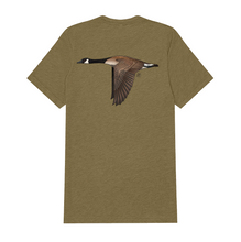 |Olive