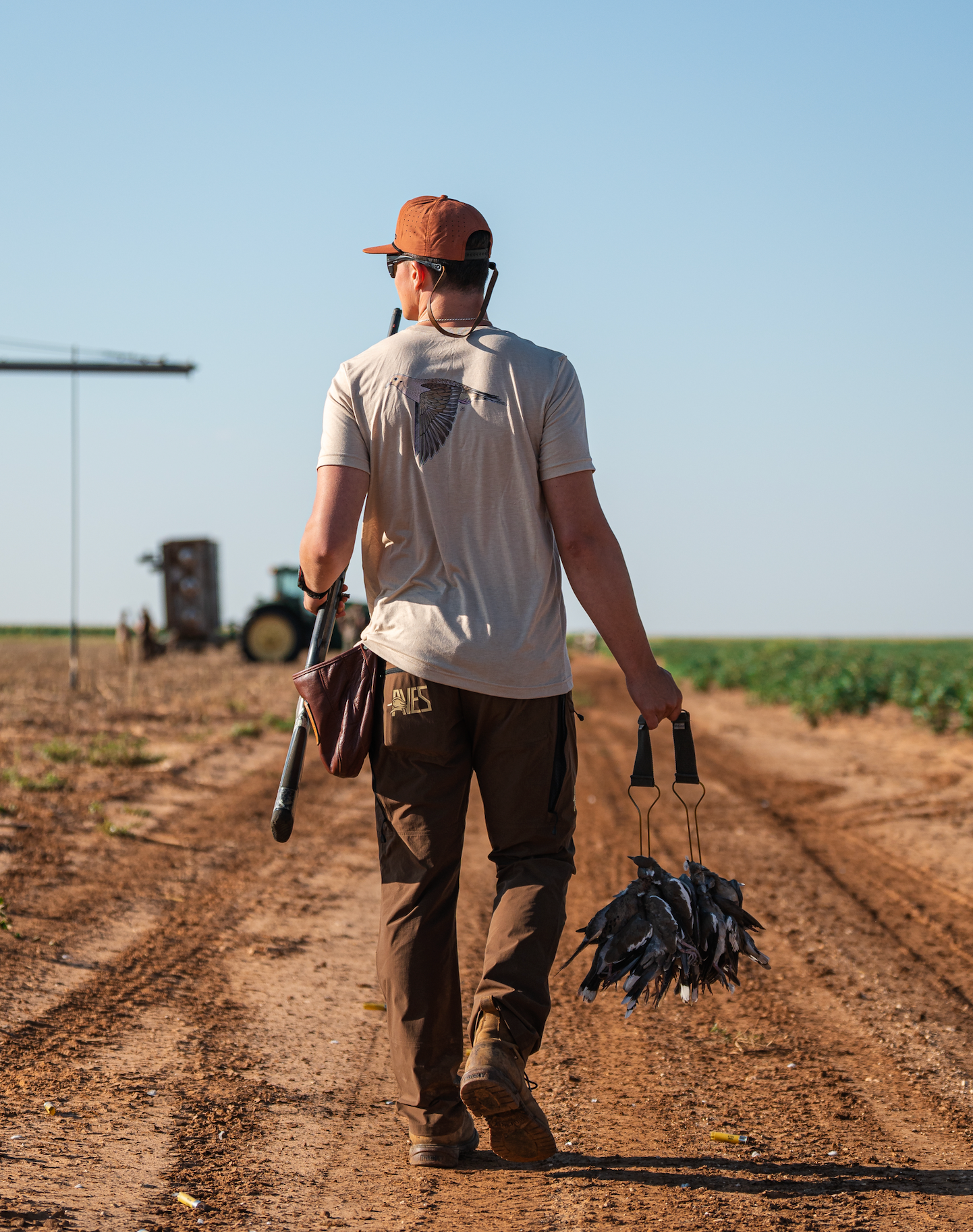 Mourning Dove Decal Sticker