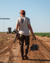 Mourning Dove Decal Sticker