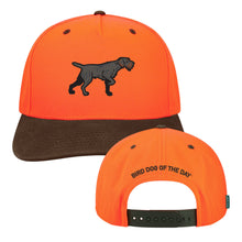 Drahthaar Hat