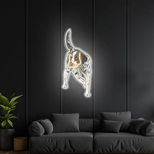 English Setter LED Neon Sign