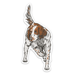 English Setter Pointing Decal Sticker