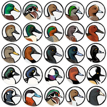 Every Waterfowl Species Decal Sticker