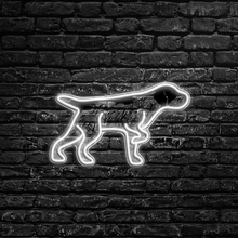 German Wirehaired Pointer LED Neon Sign