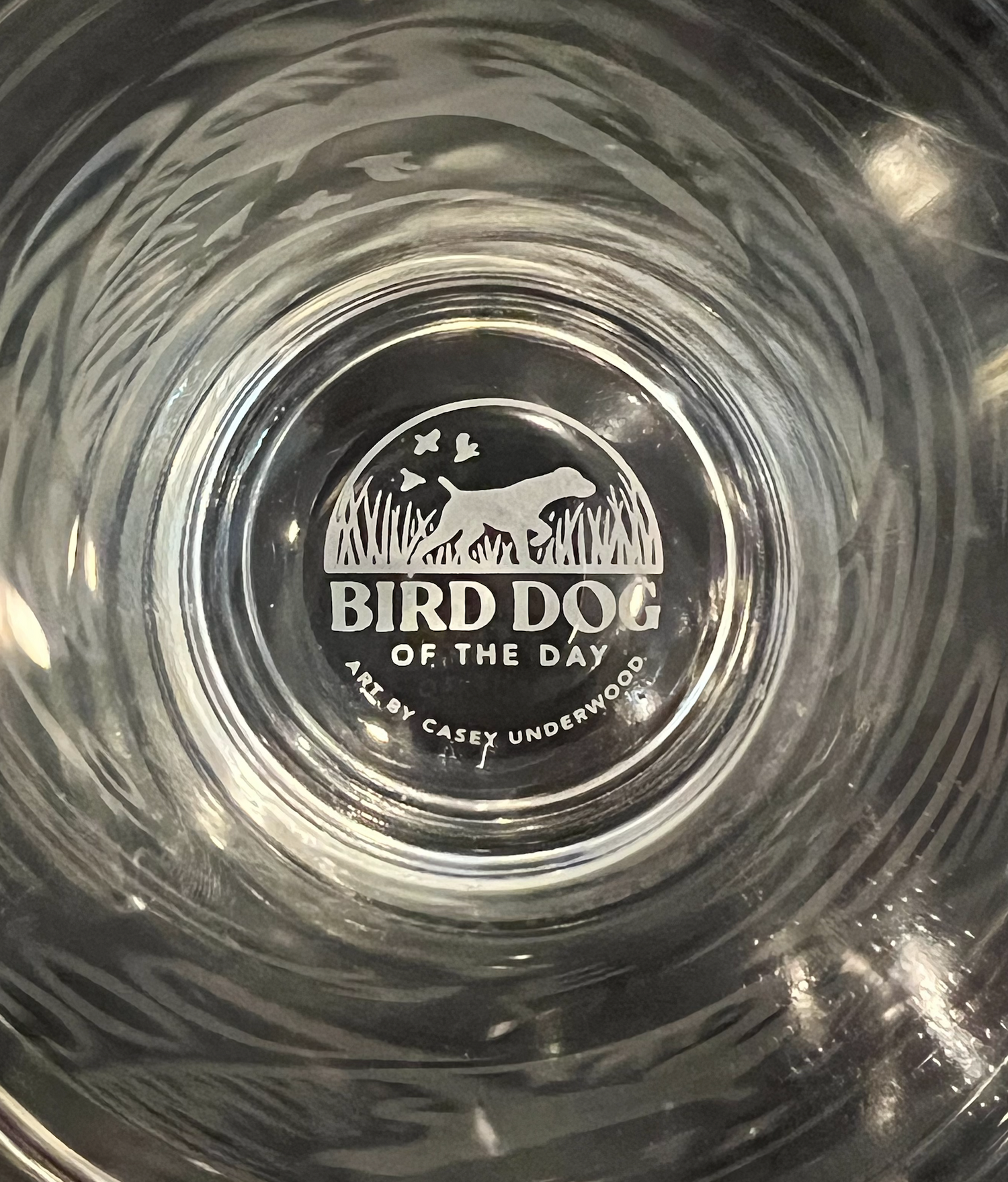 Springer Spaniel Pint Glass