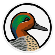 |Green Winged Teal