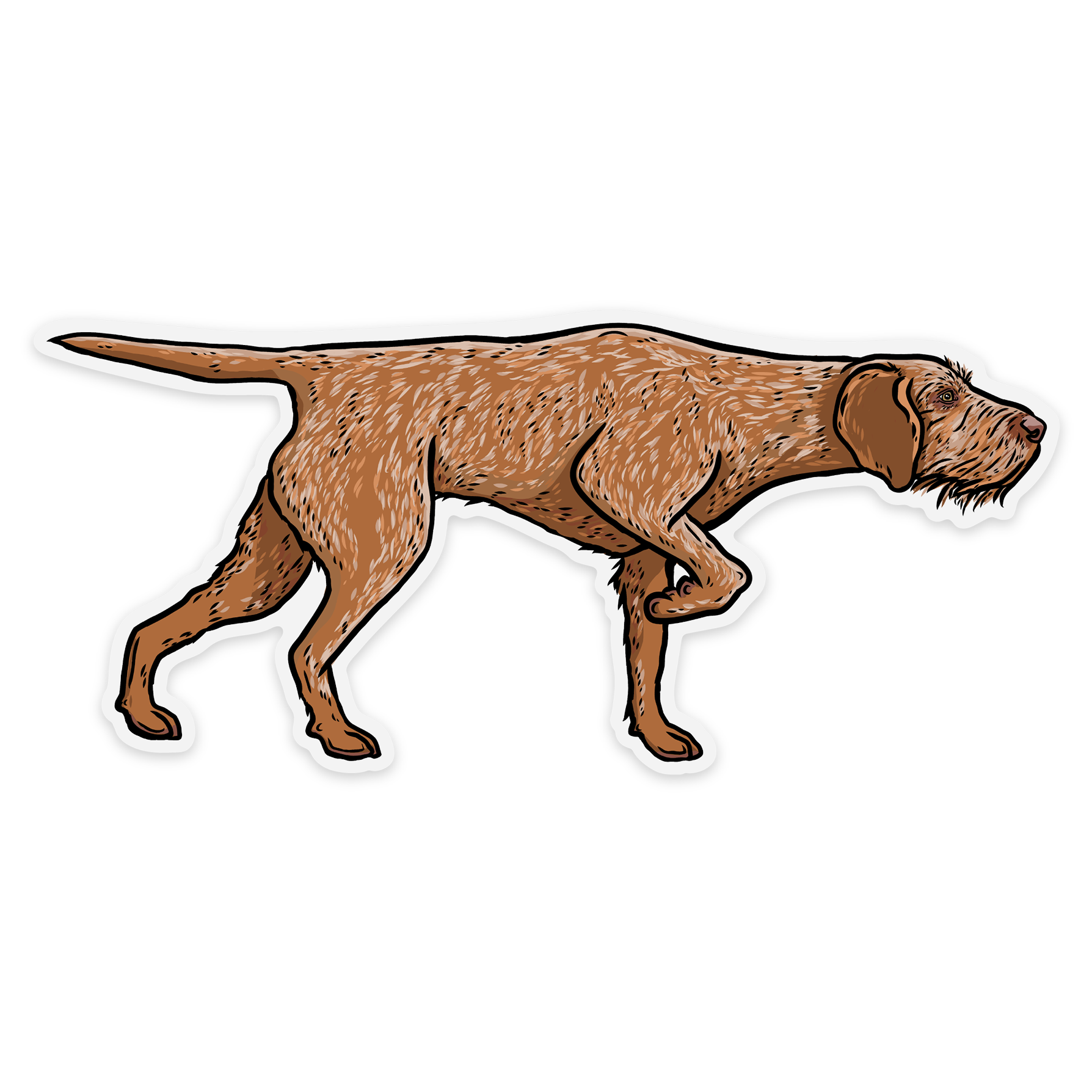 Hungarian Vizsla Tumbler Hungarian Vizsla Tumbler