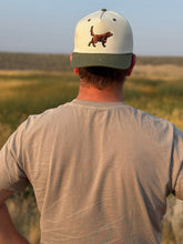 Irish Setter Hat