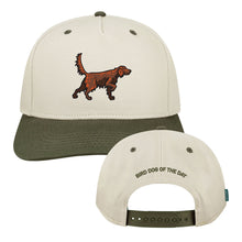 Irish Setter Hat