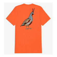 |Blaze Orange