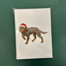 Picardy Spaniel Christmas Cards - Set of 12