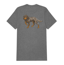 Picardy Spaniel T-Shirt