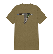 |Olive