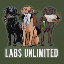 Labs Unlimited Decal Sticker