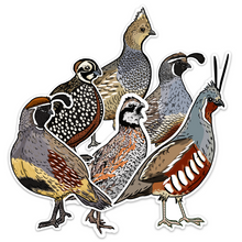 Quail Grand Slam Sticker 6-Pack