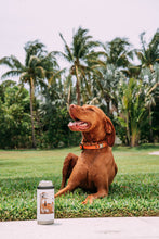 Quail Hunt Slim Can Cooler