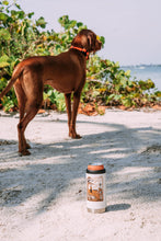 Quail Hunt Slim Can Cooler