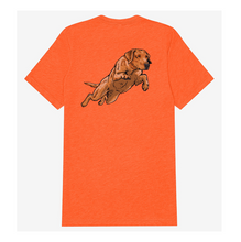 |Blaze Orange