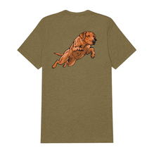 |Olive