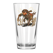 |Chocolate Labrador Retriever