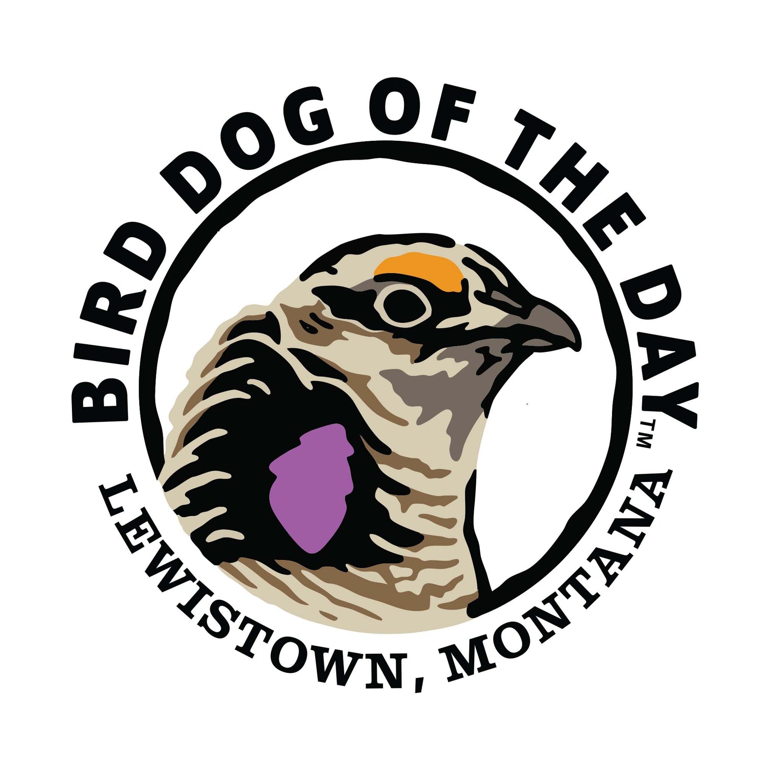 |Sharp-Tailed Grouse