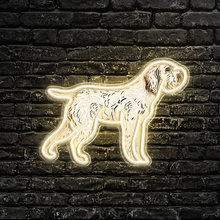 Spinone Italiano LED Neon Sign