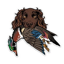 |Bobwhite with a Wood Duck