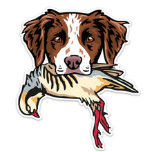 |Brittany with a Chukar