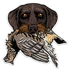 |Drahthaar with a Ruffed Grouse