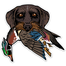 |Drahthaar with a Wood Duck