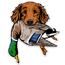 |Golden Retriever with a Mallard