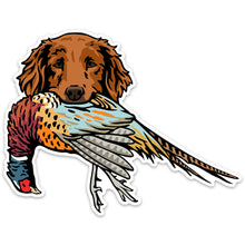 |Golden Retriever with a Pheasant