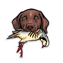 |gsp-with-a-chukar