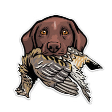 |gsp-with-a-ruffed-grouse