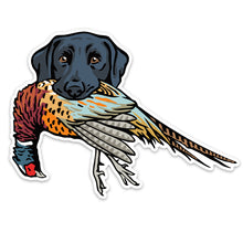 |Black Lab with a Pheasant
