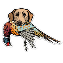 |Yellow Lab with a Pheasant