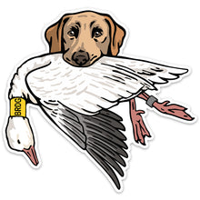 |Yellow Lab with a Snow Goose