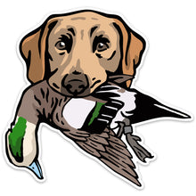 |Yellow Lab with a Wigeon