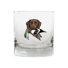 |Chocolate Lab with a Wigeon