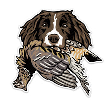 |Springer with a Ruffed Grouse