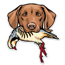 |Vizsla with a Chukar