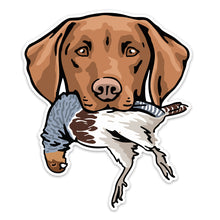 |Vizsla with a Hungarian Partridge