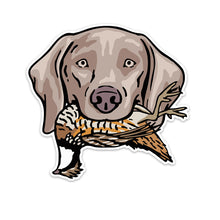 |Weimaraner with a Bobwhite Quail