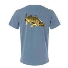 |Tailwater