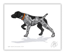 German Shorthaired Pointer Print